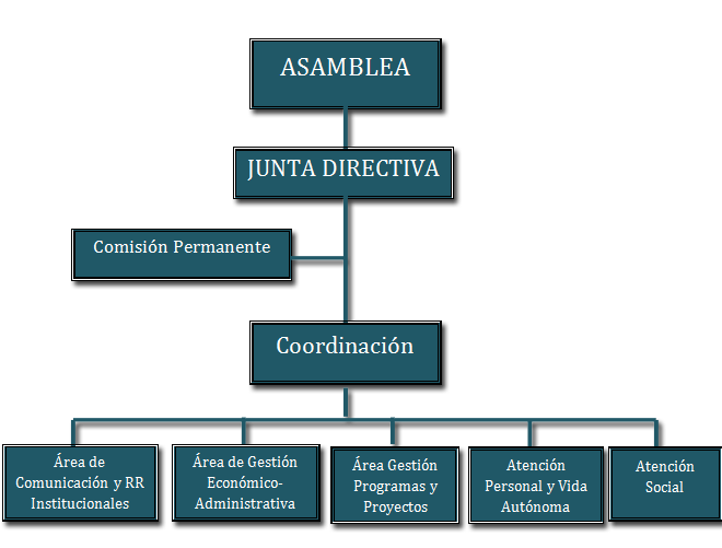 imagen de organigrama de la estructura organizativa